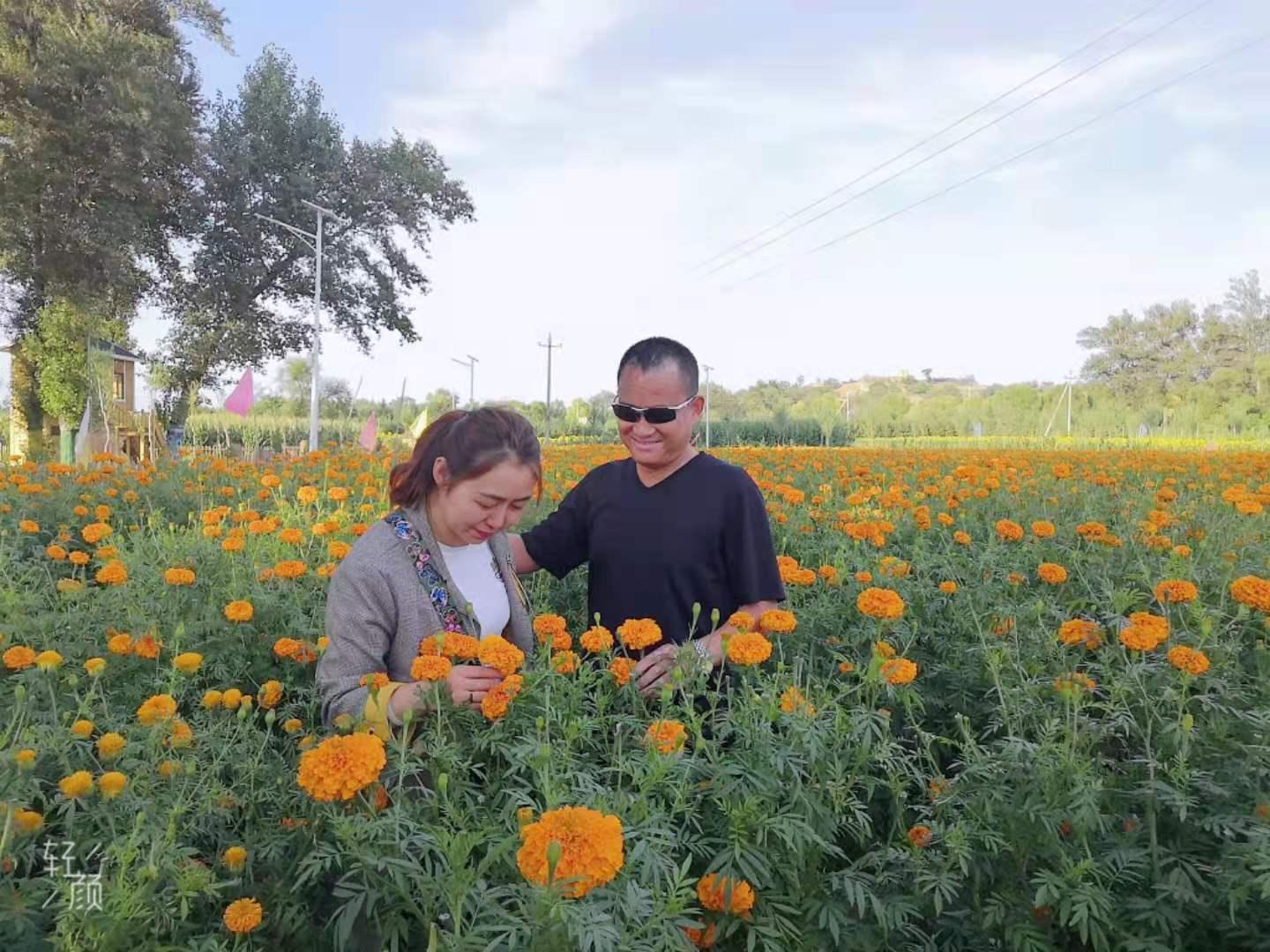 K8官网 - 天生赢家·一触即发